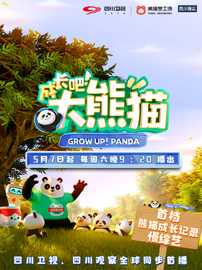 成长吧！大熊猫第08期